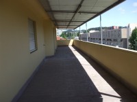 /album/galeria-fotos-publica%c3%a7%c3%a3o/magalhaes-5-jpg/